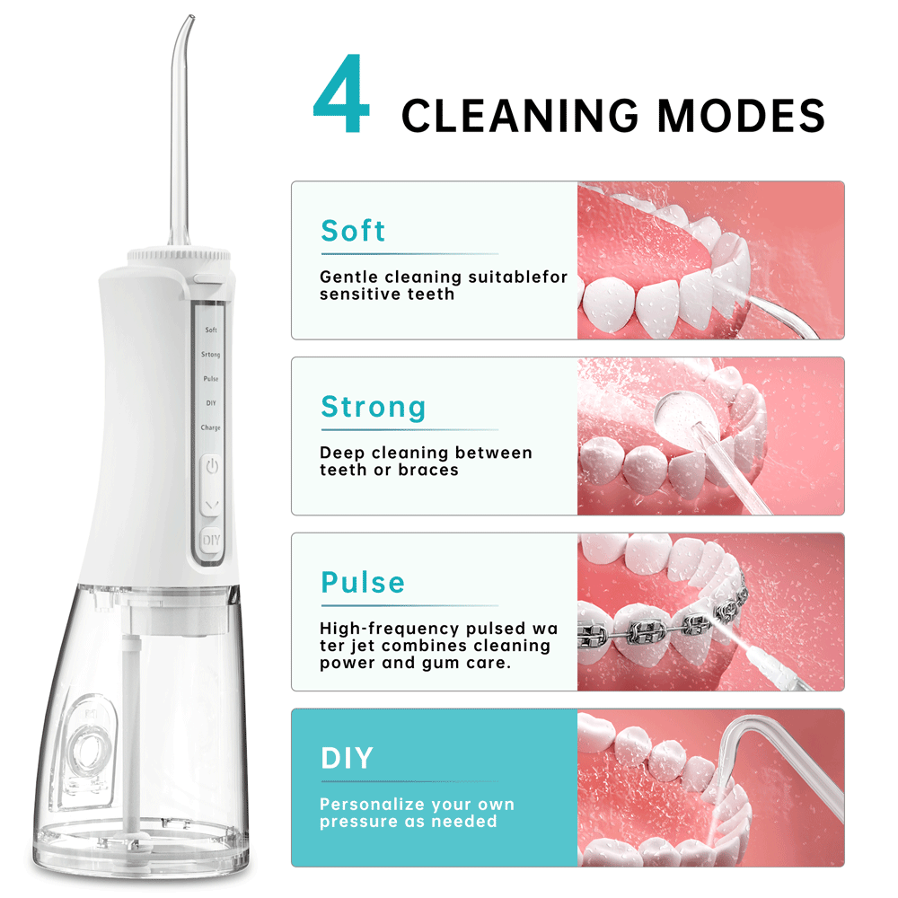 Portable Oral Irrigator 4 Mode - Dental Floss Picks 리뷰 및 가격