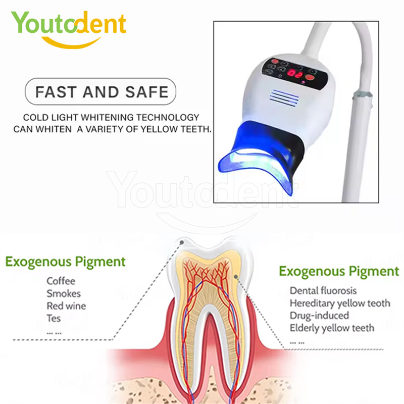 Professional Dental 3Color Lig - Teeth Whitening Dental 리뷰 및 가격