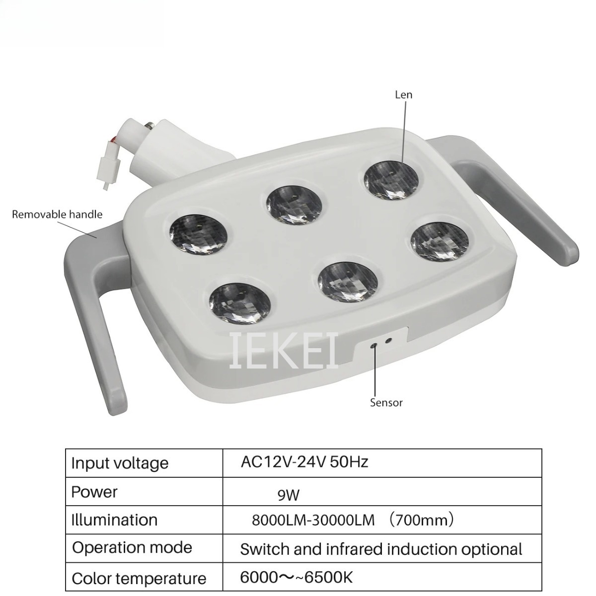 6LED Dental Oral Light Suitabl - Teeth Whitening Dental 리뷰 및 가격