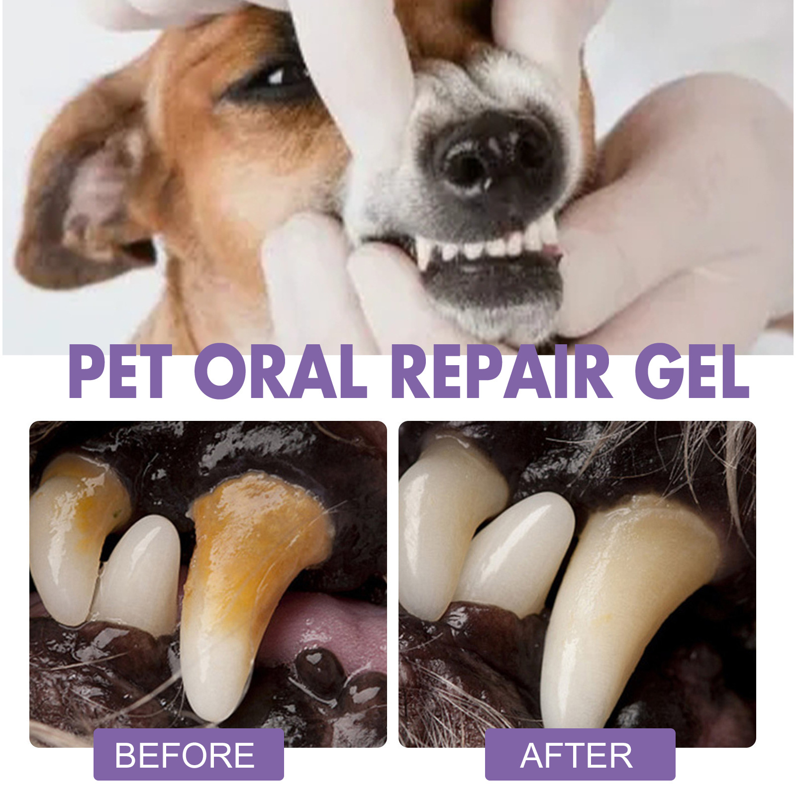 Pet Oral Repair Gel Puppy Tart - Teeth Whitening Remedies 리뷰 및 가격