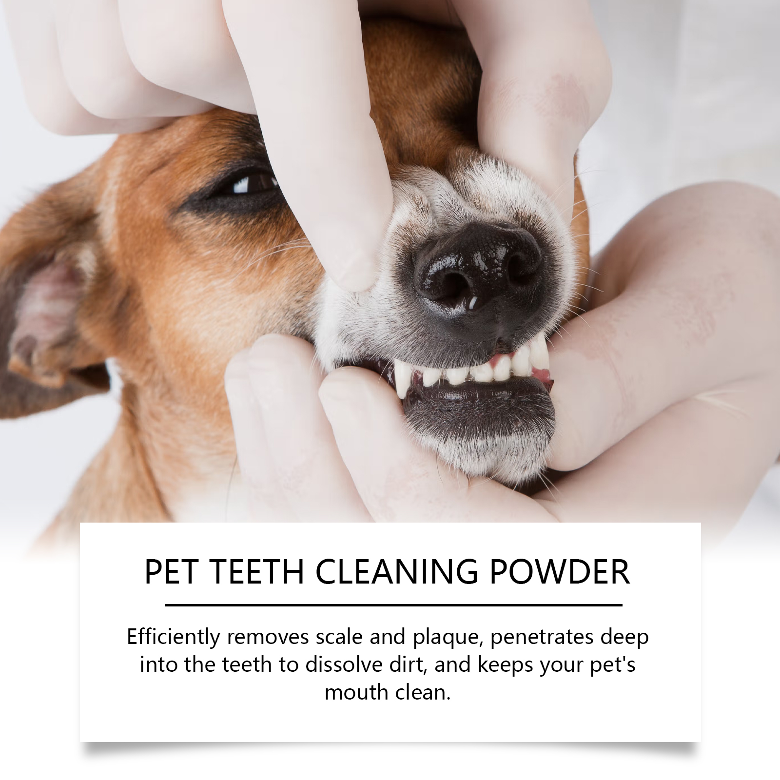 Pet Teeth Cleaning Powder Redu - Teeth Whitening Remedies 리뷰 및 가격