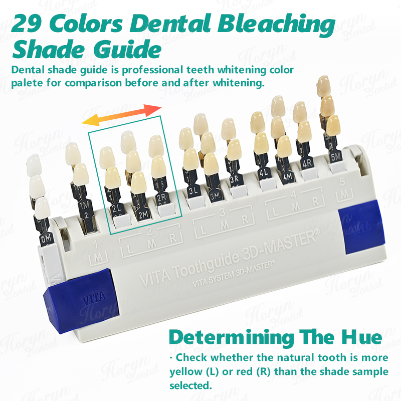 Vita 3D Master Dental Lab Blea - Teeth Whitening Clinic 리뷰 및 가격