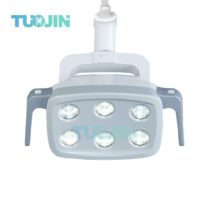 6LED Dental LED Lamp Oral Ligh - Teeth Whitening Dental 리뷰 및 가격