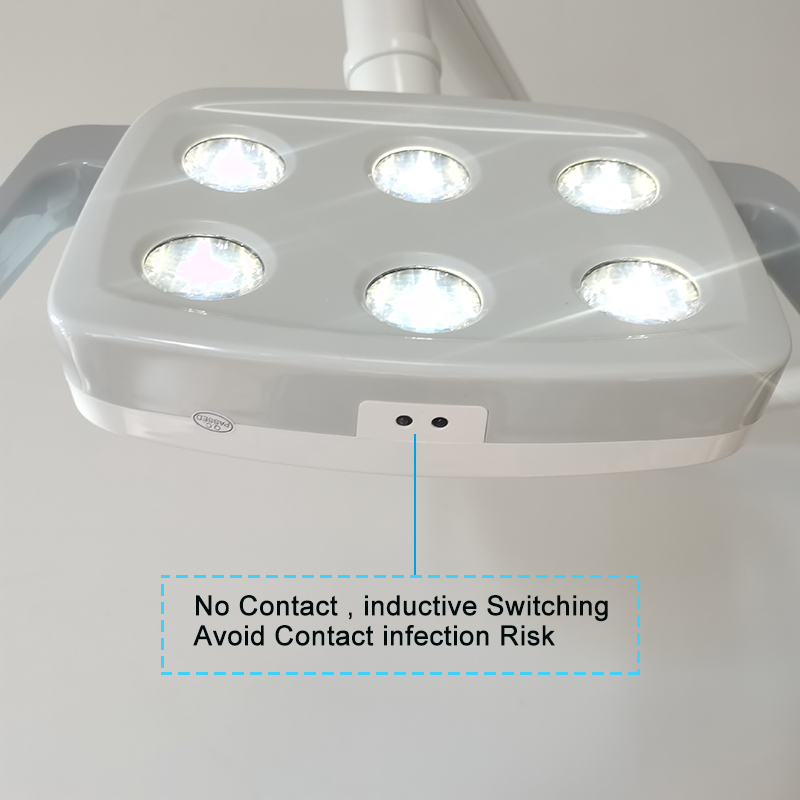 6LED Dental LED Lamp Oral Ligh - Teeth Whitening Dental 리뷰 및 가격
