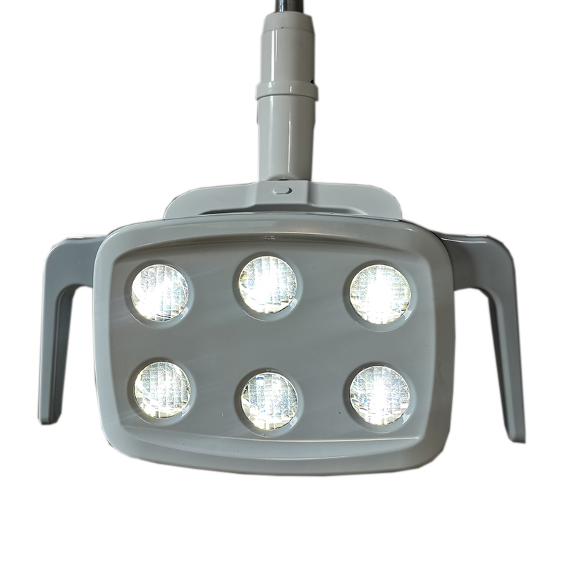6LED Dental LED Lamp Oral Ligh - Teeth Whitening Dental 리뷰 및 가격