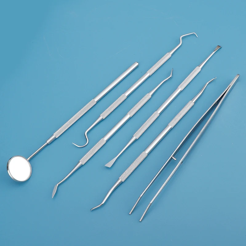 Dental Tool Interdental Toothp - Dental Floss Picks 리뷰 및 가격