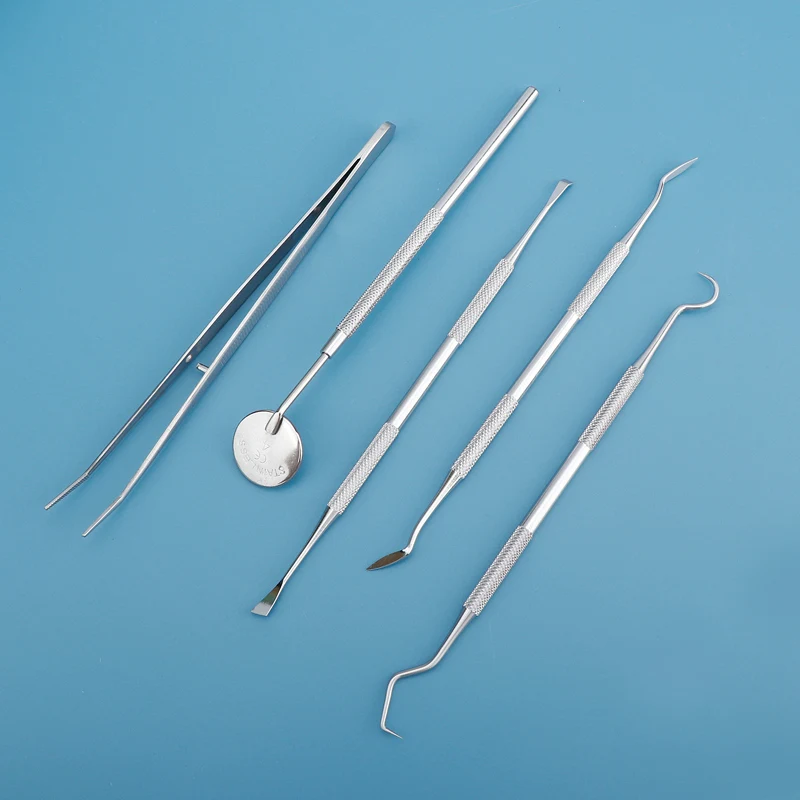 Dental Tool Interdental Toothp - Dental Floss Picks 리뷰 및 가격