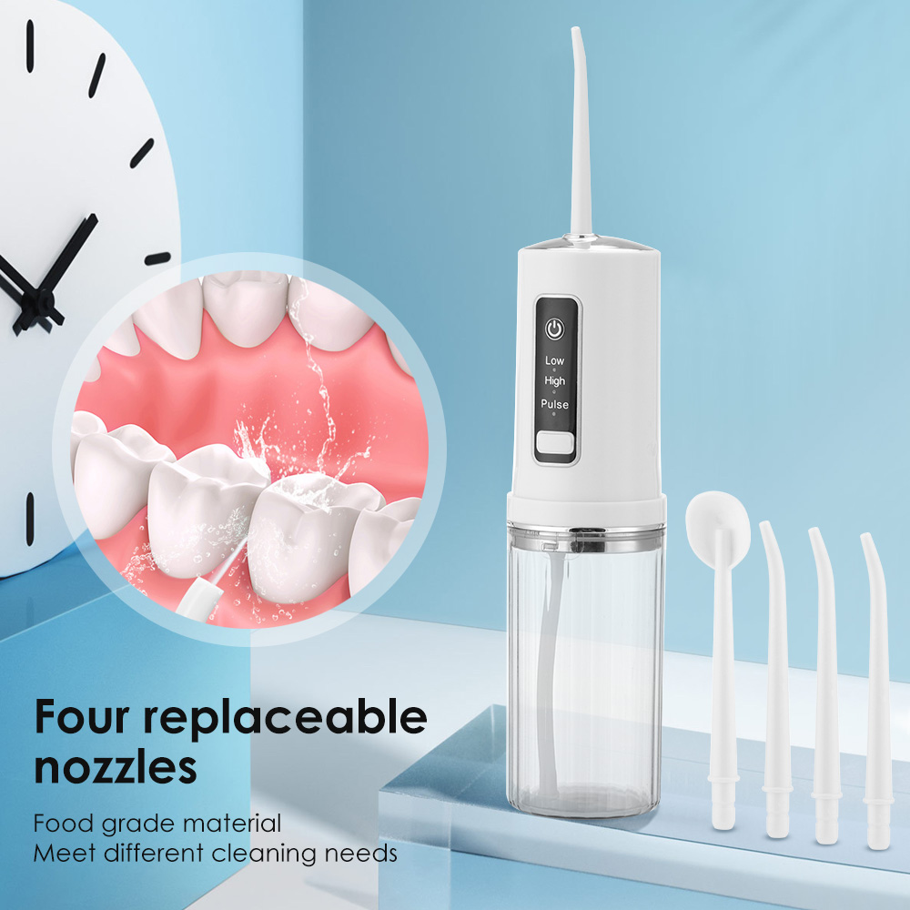 Portable Oral Irrigator Water  - Dental Floss Picks 리뷰 및 가격