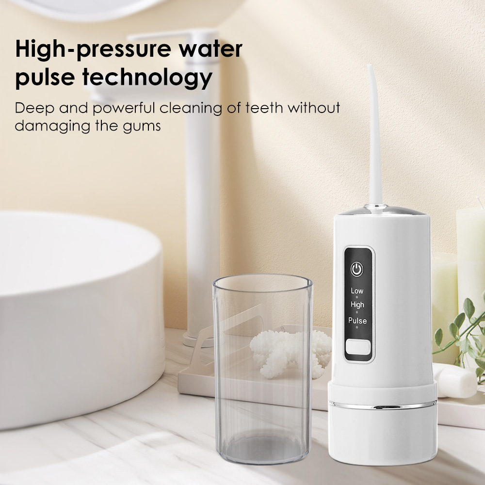 Portable Oral Irrigator Water  - Dental Floss Picks 리뷰 및 가격