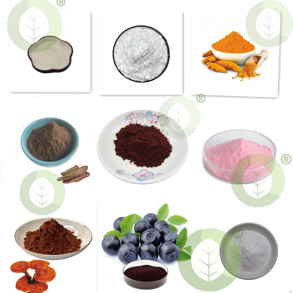 Food Grade Using for Toothpast - Hydroxyapatite Toothpaste 리뷰 및 가격